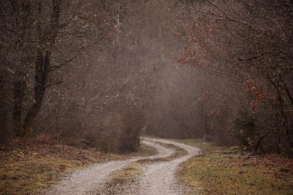 foggy-3892740_1920