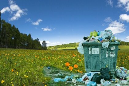 pollution dechets