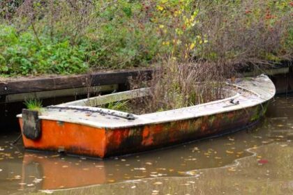 BATEAU PLANTE