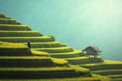 TERRAIN
