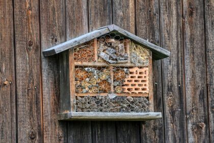 HOTEL A INSECTE