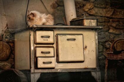 ANCIEN FOUR A BOIS