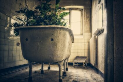BAIGNOIRE