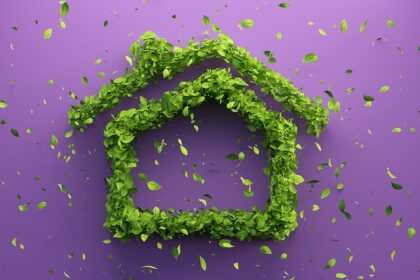maison environnement