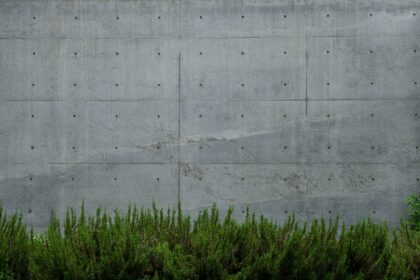 béton vert